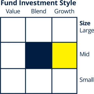 Morningstar Style Box™ fund investment style interpretation HFG Trust